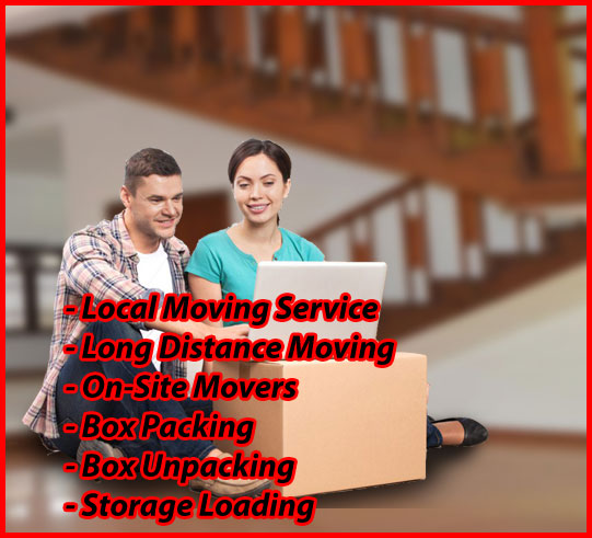 Packers And Movers Noida Sector 119